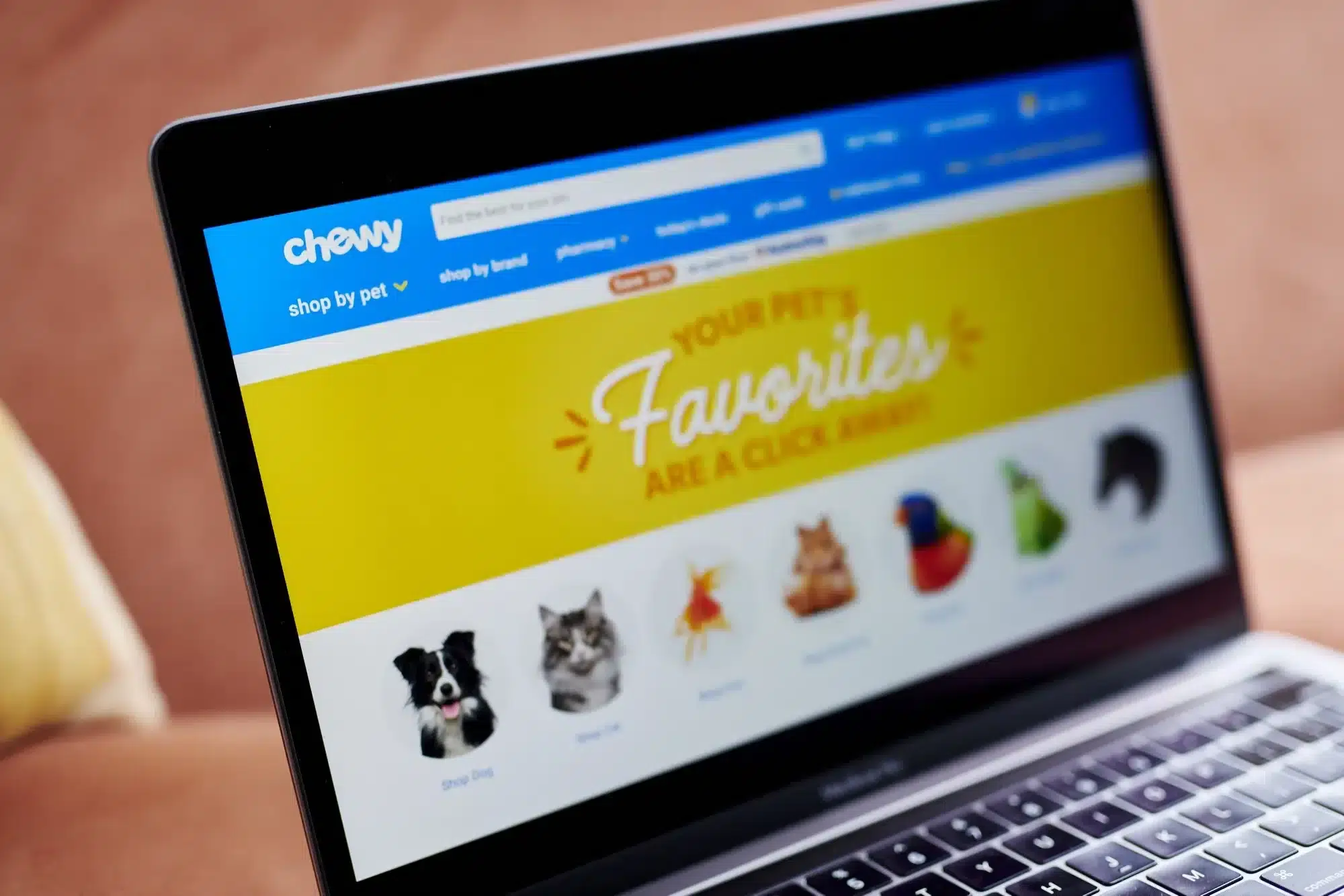 StartPage Business: Chewy