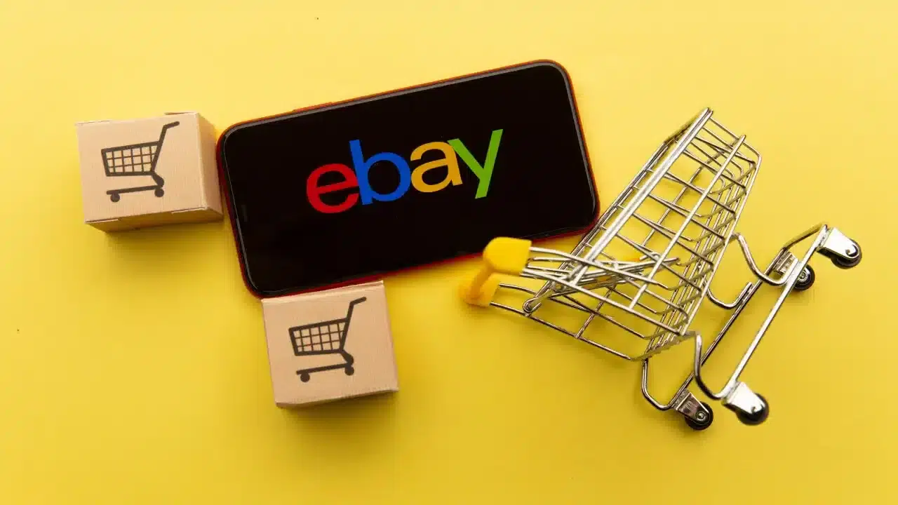 StartPage Business: eBay